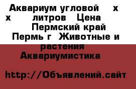 Аквариум угловой  54х54х41 60 литров › Цена ­ 1 000 - Пермский край, Пермь г. Животные и растения » Аквариумистика   